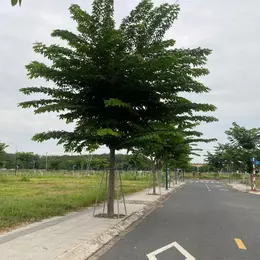 Đất Nền Hòa Lợi Bến Cát – Vị Trí Đẹp, Điện Nước Âm, Giá Đầu Tư Lý Tưởng!
