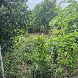 Bán Đất Mặt Đường, Kinh Doanh Tốt - Xã Đông Động, Đông Hưng, Thái Bình. Diện tích 100m2, mặt tiền