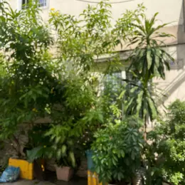 BÁN ĐẤT CHÍNH CHỦ MẶT TIỀN ĐƯỜNG NHỰA 26.000M2