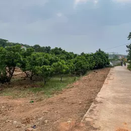 Cần bán 5 lô  biệt thự F0 tại Kiên Thành- Lục Ngạn -Bắc Giang