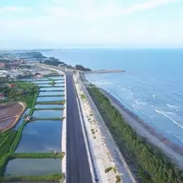 Cơ Hội Vàng! Bán Gấp Lô Góc Đẹp Nhất Mặt Biển Quất Lâm - 100% Thổ Cư, Giá Rẻ Hơn Thị Trường 20%!