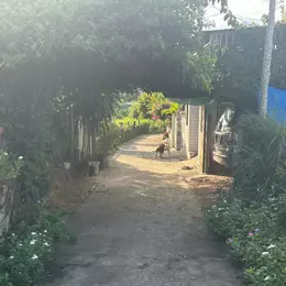 Bán 6m x 30m đất ONT Tân Bình - TX LaGi hạ giá 40%