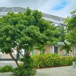Nhà Phố Hòa Lợi 5x16m (Thổ Cư Hoàn Toàn) – Gần KCN VSIP 2, Đồng An 2, Mỹ Phước – Giá 2,66 Tỷ –