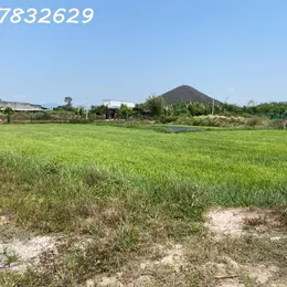 Bán 2939m2 đất Tân Tiến - TX LaGi giá ngộp chỉ 1.1 tỷ sổ riêng