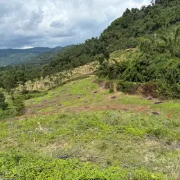 BÁN ĐẤT NỀN FULL THỔ CƯ XÃ ĐẠ KHO HUYỆN ĐẠ HUOAI MỚI TỈNH LÂM ĐỒNG DIỆN TÍCH 800M2