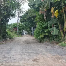 Lô đất đẹp gần mặt tiền Võ Văn Vân, ngang 5m chỉ 789 triệu ấp 1 Vĩnh Lộc B