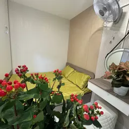 CHTT Thành Công, Vỉa hè, Ô tô tránh, KD, 3.98T