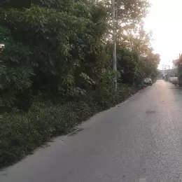 BÙM * GIA LÂM - ĐÓN TƯƠNG LAI TƯƠI SÁNG - LÔ ĐẤT VIP