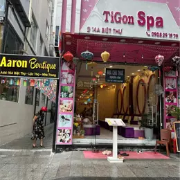 Cho thuê nhà nguyên căn khu phố Tây đường Biệt Thự