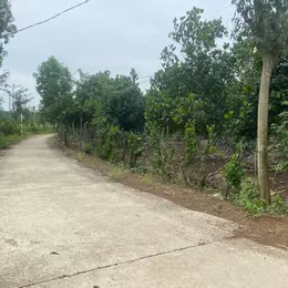 Bán đất 3000m2 thổ cư 150m2 tại Xã Xuân Tây, Cẩm Mỹ, Đồng Nai, giá 2,2 tỷ
