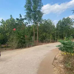 Bán đất 3 mặt tiền đường bê tông 1800m2 full hồng đất ở tại Xuân Tây, Cẩm Mỹ, Đồng Nai,
