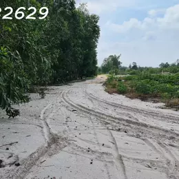 Chỉ 500 triệu sở hữu 1000m2 Tân Bình - TX LaGi đường xe hơi giá ngộp