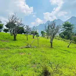 Bán Đất 700m² Tại Mộc Châu – Vị Trí Đẹp, Gần Thác Dải Yếm, Thích Hợp Kinh Doanh Homestay & Coffee