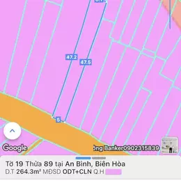 Nhà nở hậu đang cho thuê cần bán phường An Bình - Biên Hòa, chợ Đồi, đường Nguyễn Thông.