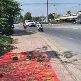 Bán Nhà Phú Hữu Cách Quận 2 10 Phút ,107,2m², Mặt Tiền Lý Thái Tổ – Giá 4,6 Tỷ
