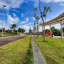 Bán Gấp Đất Sun Valley Bảo Lộc – Giá Rẻ Chỉ 13 Triệu/m²