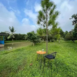 Chính chủ cần bán nhà vườn 2000m. Có nhà nhỏ vườn cây. Giá 300tr
