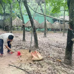 Bán đất P.Hoà Lợi tp.Bến Cát Bình Dương