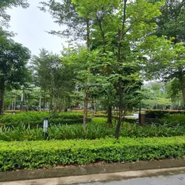 Bán biệt thự Ciputra giai đoạn 1 diện tích 180m2 hướng Nam giá 345tr/m2,