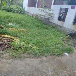 Siêu phẩm đất nền tại Khối phố Xuyên Đông - Nam Phước: Giá tốt - Pháp lý rõ ràng