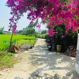 Đất Đại Nghĩa - Đại Lộc giá sập hầm