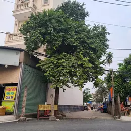 Lô đất (5x15) 1/ Hẻm 8m Có vĩa hè Tân Chánh Hiệp 07, Quận 12 giá rẻ 4.19 tỷ