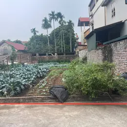 Bán đất thổ cư 63m², Võng Xuyên, Phúc Thọ, Hà Nội - 1.8 tỷ, sổ đỏ
