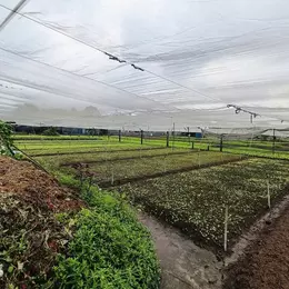 Bán đất lớn 4420m2, Hẻm 10m Lê Văn Khương - Hiệp Thành, Q12, 86x52m, chào 89.9 tỷ