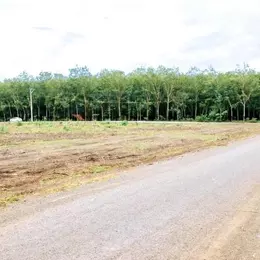 BÁN 2250M2 2SHR LỘ NHỰA THÔNG (3 KCN 240N CN) SÁT TRƯỜNG CHỢ KHO XƯỞNG QUANG MINH CHƠN THÀNH