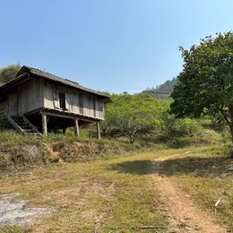 Bán Đất Đẹp Trung Tâm Du Lịch Mộc Châu - 3ha, Sẵn Nhà Sàn, Giá Tốt Chỉ 12.5 Tỷ!