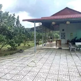 ĐI MỸ ĐỊNH CƯ CẦN BÁN NGAY VƯỜN BƯỞI SAU LƯNG ỦY BAN NHÂN DÂN