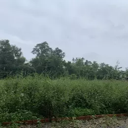 Nguy cơ mất tiền khi không tìm hiểu kỹ trước khi mua đất!