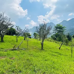 Cơ hội sở hữu mảnh đất tại trung tâm Du lịch Mường Sang Mộc Châu chỉ với giá hơn một tỷ, Cơ hội x2