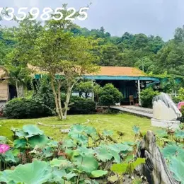 Cần bán gấp 3500 m2, đường 12m , giá 310tr. có nhà và vườn trái cây