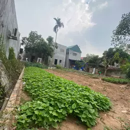 QUÁ ĐẸP, ĐẤT HIỀN NINH, SÓC SƠN. 80M, MT5,5M. FULL THỔ CƯ. ĐƯỜNG 4M. GIÁ 2,16 TỶ CÓ THƯƠNG LƯỢNG
