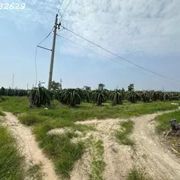 Bán gấp 145m x 84m đất ONT Lô 2 Lý Thái Tổ - Tân Tiến - TX LaGi gần Biển chỉ 1.5tr/m2