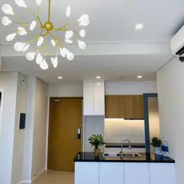 Tin mới 100% - Cập nhật cho thuê căn 1PN Đảo Kim Cương