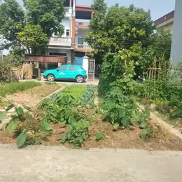 BÁN ĐẤT 2 MẶT TIỀN - TỔ 9, THỊ TRẤN QUANG MINH, MÊ LINH, HÀ NỘI
