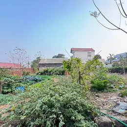 Bán đất xã Thuỷ Xuân Tiên, Chương Mỹ, HN. Oto vào đất. DT 270m, giá 1,95 tỷ. Chia 2 lô đẹp.
