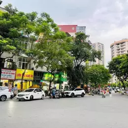 Hoàng Sâm ô tô tránh phân lô dân xây 47M giá 12.3 tỷ