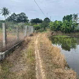 Bán gấp 2.8 sào đất ONT Tân An - TX LaGi giá ngộp View Sông Dinh