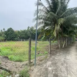 . Bán đất An Sơn 500m², thổ cư 100m², gần sông Sài Gòn