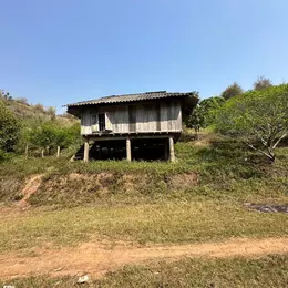 Đất đồi trồng Mận tại Mộc Châu cần bán, diện tích 3 héc ta gần trung tâm du lịch, giá đầu tư.