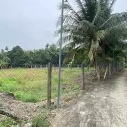Đất rộng 686m² An Sơn 32 – Đường bê tông 3m – Sổ hồng riêng, xây nhà vườn ngay! Gọi: 0906 218 171