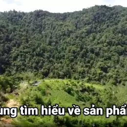 ✨PHẢI NHANH MỚI KỊP ✨ Đất lâm nghiệp làm khu sinh thái Lâm Đồng 72ha 45 tỷ có đàm phán
