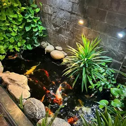 🌼🌹NHÀ ĐẸP 2 TẦNG MỚI TINH +KHO XƯỞNG -THỚI TAM THÔN HÓC MÔN-HẺM  NHỰA 7M- NGANG BỀ THẾ 10M -