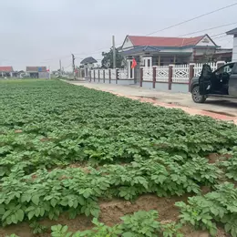 ☎️ Chính chủ cần sang nhượng lô đất 94m2 nằm ngay sát mặt biển sẵn thổ cư sổ đỏ sổ hồng rõ ràng