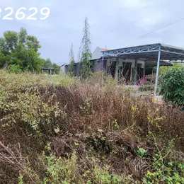 Bán 330m2 đất ONT Tân Phước - TX LaGi giá ngộp chỉ 950 triệu sổ hồng riêng