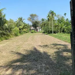 SANG 2 SỔ (16X141=2209,3M2) XÍ NGHIỆP CHỢ TRƯỜNG QUANH ĐẤT, NHÀ HIỆN HỮU Ở LIỀN 190TR
