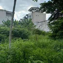 Đât phân lô, Bưng Ông Thoàn, 450m2, đường 10m, ngay Liên Phường, giá 18.5ty
